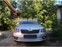 Защита радиатора Skoda Superb 2013-2015 chrome PREMIUM