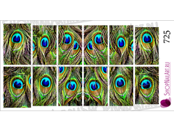 Слайдер-дизайн 725