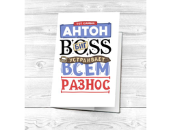 Картхолдер #9 Антон