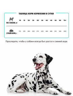 Karmy Hypoallergenic Medium & Maxi (Карми Гиппоаллергеник Медиум&Макси) для собак средних и крупных пород, 14 кг