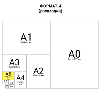 Папка для тетрадей ЮНЛАНДИЯ А5, 2 отделения, пластик, клапан на липучке, "Championship", 229127