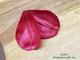 Молд «Лепесток тюльпана #1» (ELF_decor)