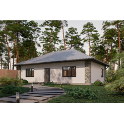 Одноэтажный дом с двумя спальнями 89м² (S19)