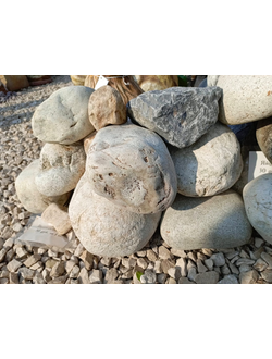 Яйца Дракона