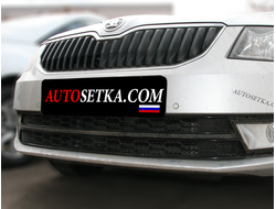 Premium защита радиатора для Skoda Rapid Ambition и Elegance (2014-2017) из 2-х частей