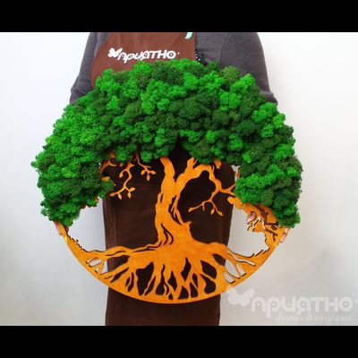 Живая Эко-Картина 1072