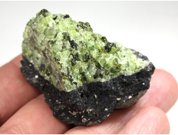 Хризолит (Перидот, Оливин), кристаллы на породе, США (49*30*29 мм, 58 г) №38095