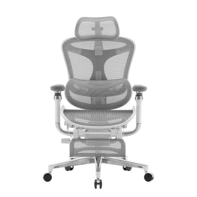 Ортопедическое кресло SIHOO Doro C500 | серо-белое
