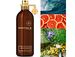 Montale Aoud Forest