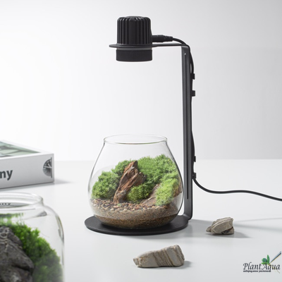 Чаша Пузырь Biolark  FOUR (120мм х 105мм)