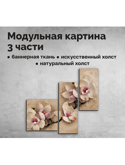 Модульная картина из 3 частей