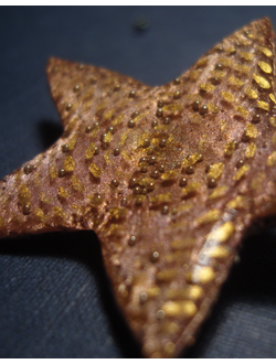 Праздничная брошь "Светит звёздочка с небес" (рождественская серия)