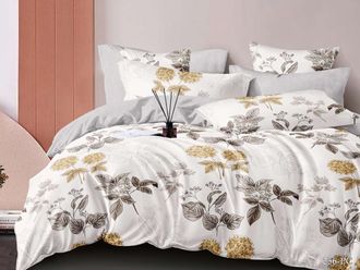 Постельное белье Cleo евро поплин 200х220х1 220х240х1 50х70х2 32/256-PC