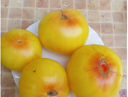 Томат Прелесть Розы (Rose Beauty)