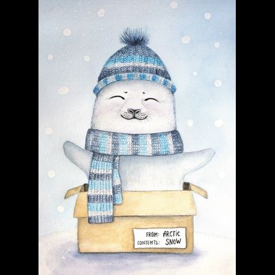 D0529 Снежное послание