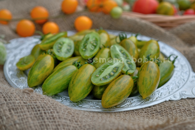 Томат Favorie de Bretagne (Фаворье де Бретань), 10 шт