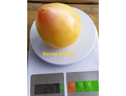 Томат Белая вишня