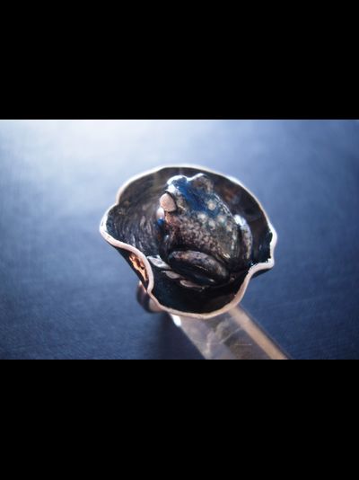 Мистическое кольцо с лягушкой "Лунная принцесса"