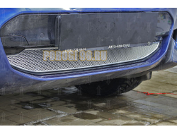 Защита радиатора BMW X3 III (G01) (xDrive AT / xDrive AT M Sport) 2017- chrome низ PREMIUM