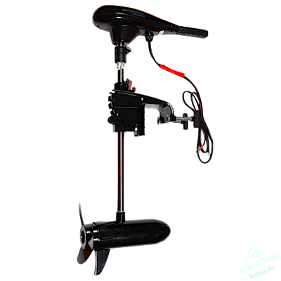 Подвесной электромотор WaterSnake Tracer FWTCS44TH/26 12V