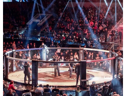 Октагоны и арены