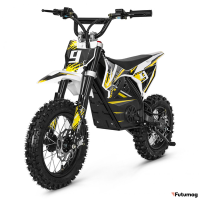 Электромотоцикл GreenCamel Питбайк DB450, 48V 1200W R12/R10 желтый