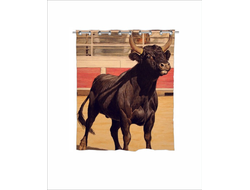 Штора в ванную с символикой "Быка" №1