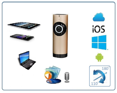 Видеоняня /WiFi видеокамера панорамная с DVR (fish_G), HD)