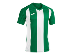 Футболка Joma Pisa II 102243.452