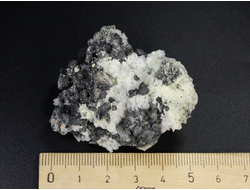 Нашатырь, щетка скелетных кристаллов, Центральный Донбасс, Донецкая область (51*43*30 мм, 18 г) №24528