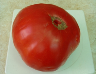 Томат Замок Шартр (усл) - Томатный мир