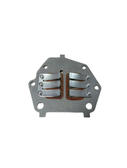 Клапан лепестковый BAIKAL 9.8 л.с.