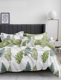 Постельное белье семейное TANGO Dream Fly микросатин 160x210x2 220x245x1 70x70x2 DF05-502-70