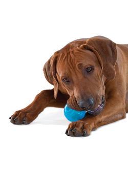 Petstages игрушка для собак ОРКА теннисный мяч 6 см