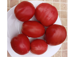 Томат Косентино сел Клауди (Cosentino sel Claudia), Италия