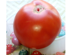 Томат Минусинский от Балуева