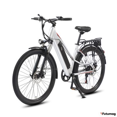 Электровелосипед WHITE SIBERIA CAMRY LIGHT 500W матовый серебристый