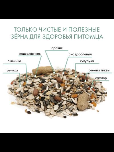 Fiory (Фиори) Pappagalli корм для крупных попугаев, 700 г