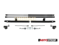 Амортизаторы капота, 2 шт. АвтоУпор для Toyota RAV4 V 2019-