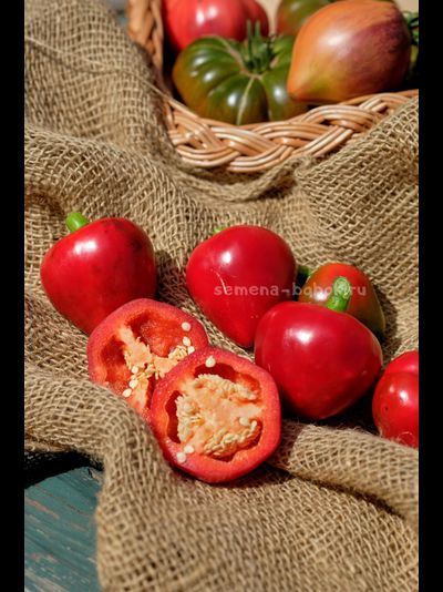 Перец сладкий Маусики, 10 шт