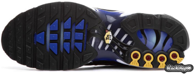 NIKE AIR MAX TN PLUS СИНИЕ (40-45)