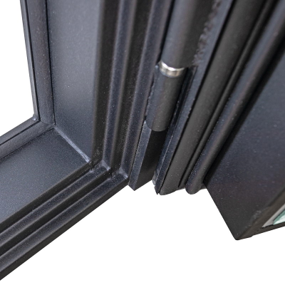 Стальная дверь   Dominica с зеркалом. Заказная модель.