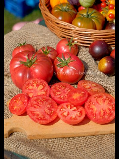 Томат Rebel Starfighter Kayleigh Anne Pink (Восставший Звездный Истребитель Кейли Энн Пинк ), 10 шт