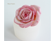 "Роза №1. Идеал" силиконовая форма.
