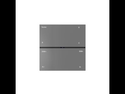Накладная настенная панель управления CONTROL BT DK7201-DG