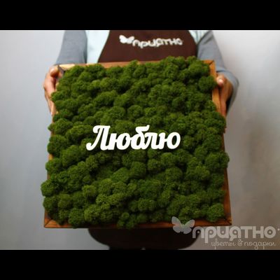 ЖИВАЯ ЭКО-КАРТИНА 1063