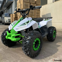 Электроквадроцикл ECO Lizard 48V30AH