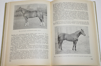 Коневодство. Под редакцией А. С. Красникова. М.: Колос. 1973г.