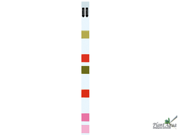 Tetra Test 6in1 GH/kH/NO2/NO3/pH/Cl Тест для пресной воды полоски, 10 шт