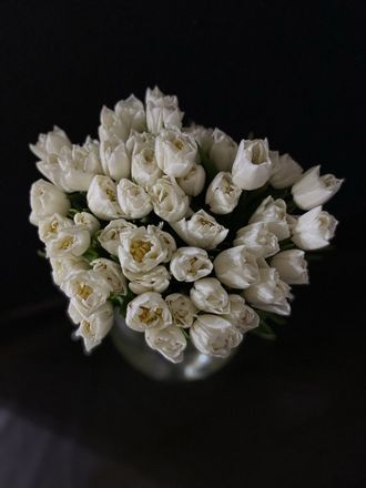 Тюльпаны пионовидные 51 шт